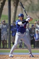 Baseball: MLB spring training