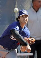 Baseball: MLB spring training