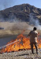 Controlled grassland burn on Mt. Aso