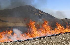 Controlled grassland burn on Mt. Aso