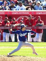 Baseball: MLB spring training game