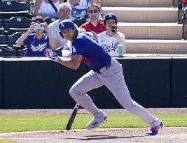 Baseball: MLB spring training game