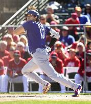 Baseball: MLB spring training game