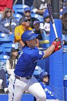 Baseball: MLB spring training