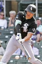 Baseball: MLB spring training