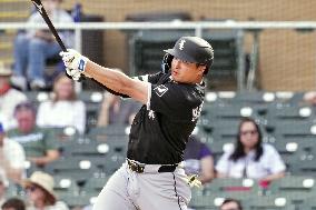 Baseball: MLB spring training