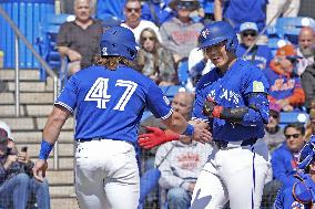 Baseball: MLB spring training