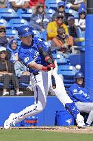 Baseball: MLB spring training