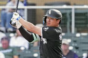 Baseball: MLB spring training