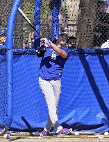 Baseball: MLB spring training