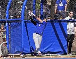 Baseball: MLB spring training