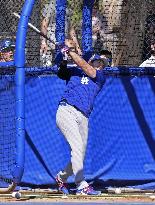 Baseball: MLB spring training