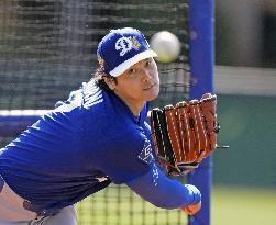 Baseball: MLB spring training