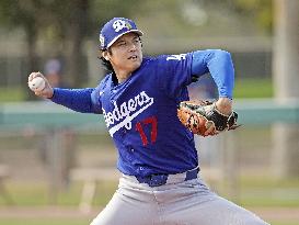 Baseball: MLB spring training