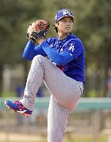 Baseball: MLB spring training