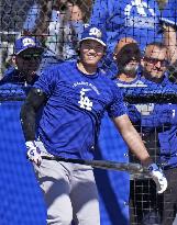 Baseball: MLB spring training