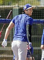 Baseball: MLB spring training