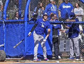 Baseball: MLB spring training