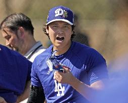 Baseball: MLB spring training