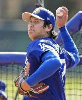 32Baseball: MLB spring training