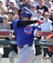 Baseball: MLB spring training