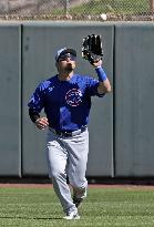 Baseball: MLB spring training