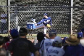 Baseball: MLB spring training