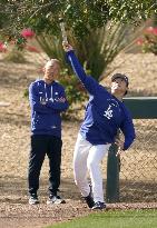 Baseball: MLB spring training