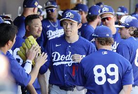 Baseball: MLB spring training game