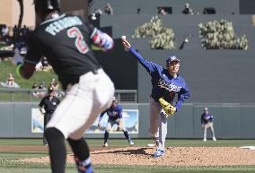 Baseball: MLB spring training game