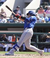 Baseball: MLB spring training game