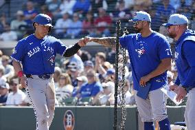Baseball: MLB spring training game