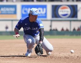 Baseball: MLB spring training game
