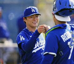 Baseball: MLB spring training