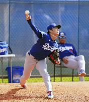 Baseball: MLB spring training