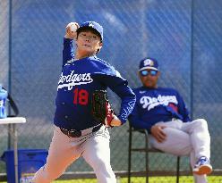 Baseball: MLB spring training