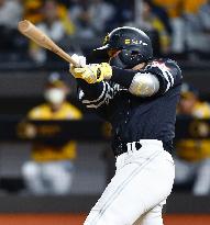 Baseball: Hawks-CTBC Brothers friendly