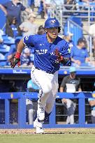 Baseball: MLB spring training