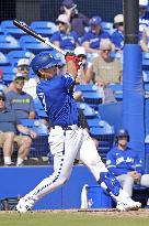 Baseball: MLB spring training