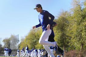 Baseball: MLB spring training