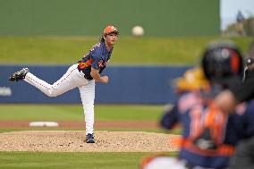 Baseball: MLB spring training