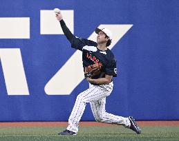 Baseball: Ohtani ahead of WBC