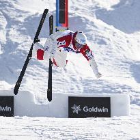 Freestyle skiing: World Cup in Japan
