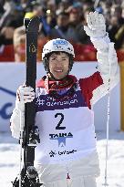 Freestyle skiing: World Cup in Japan