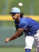 Baseball: MLB spring training game