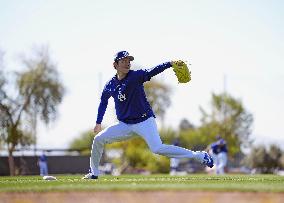 Baseball: MLB spring training