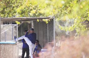 Baseball: MLB spring training