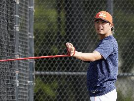 Baseball: MLB spring training