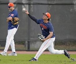 Baseball: MLB spring training