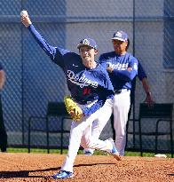 Baseball: MLB spring training